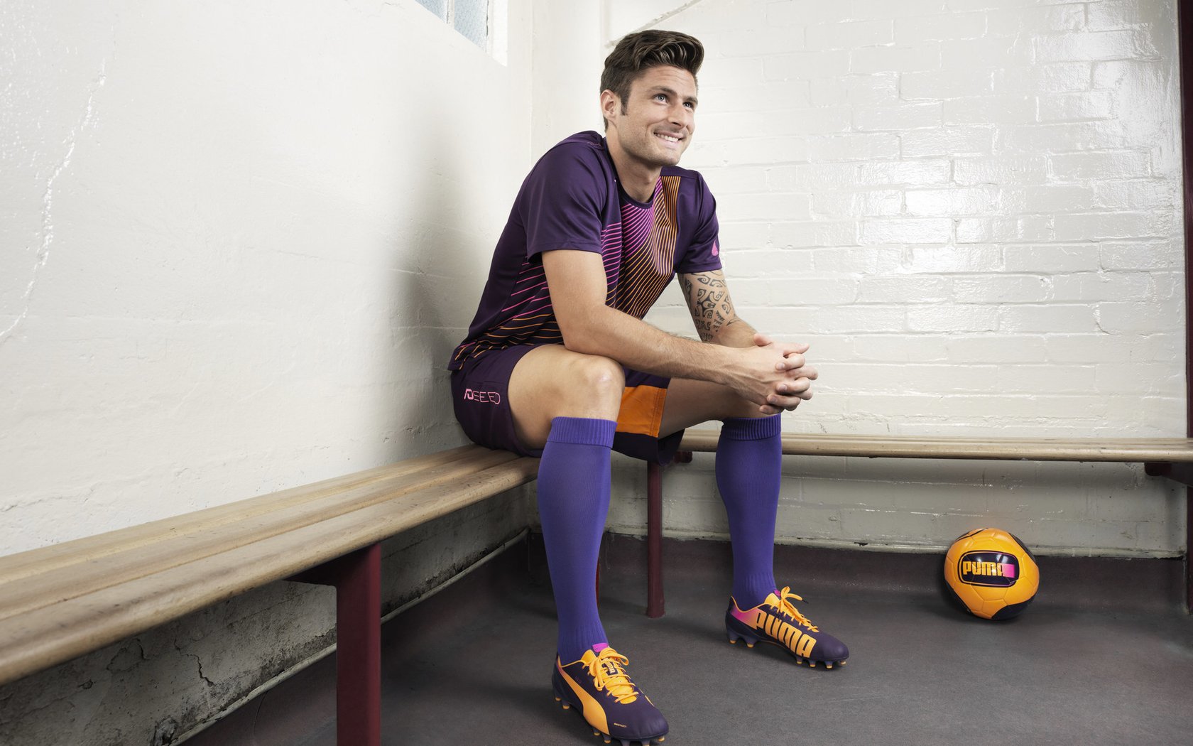 中国篮球教练员执教风格与球队战术执行力相关性研究，中国篮球教练员的等级结构