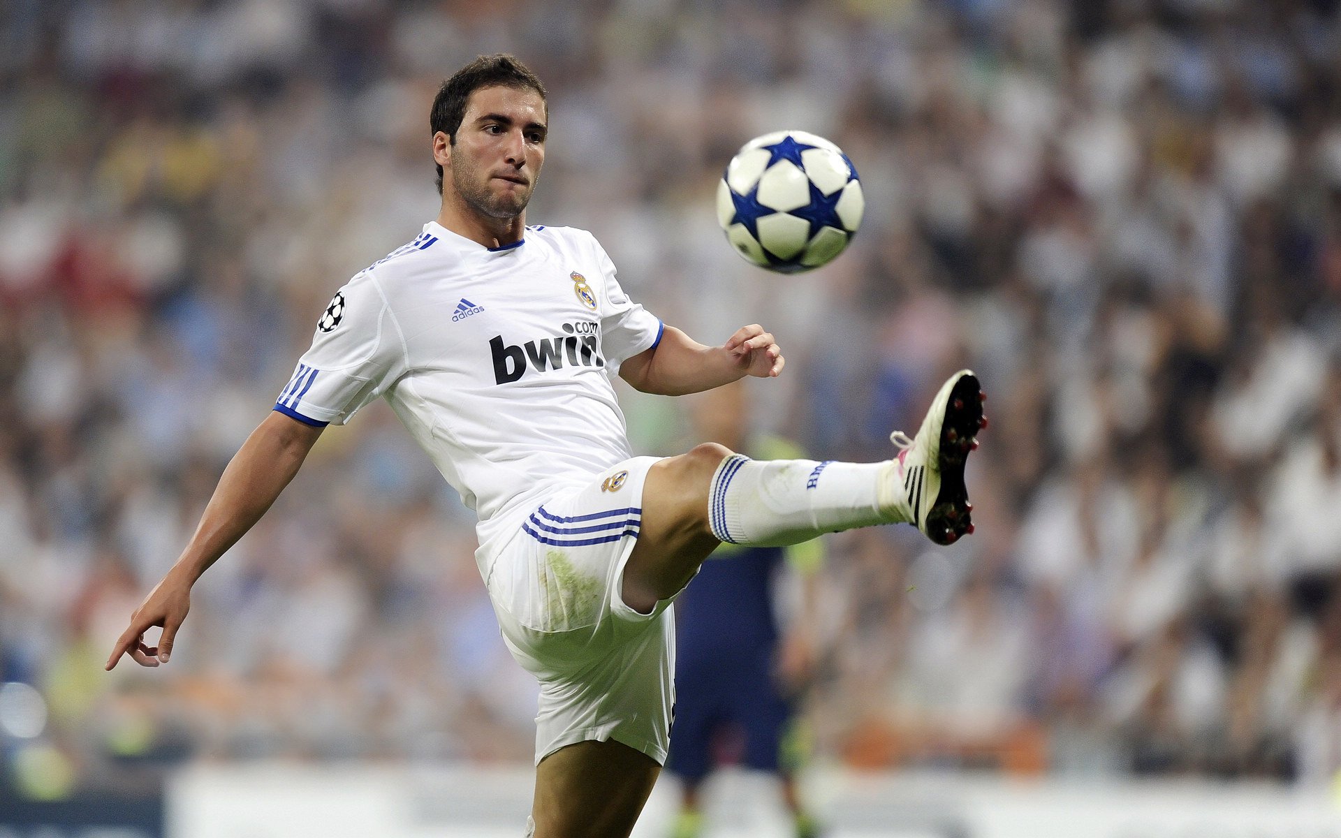 国足球队心理状态动态追踪,国足行为