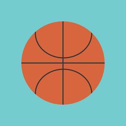 星空娱乐登录-中国篮球职业联赛市场竞争环境与发展策略，中国竞技篮球的发展趋势